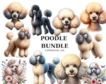 Poodle Clipart Bundle watercolor High-Quality PNG Files, Poodle Digital Planner, Junk journal, Gift Digital Download, Commercial Use