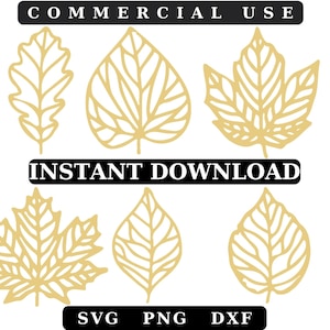 Fall Leaf Clipart: Autumn Leaves SVG, PNG, DXF (Digital Download)