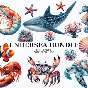 Aquarel onder de zee clipartbundel, oceaankwekerij, nautische clipart, zeedieren, walvis, schildpad, haai, dolfijn, onderzeese clipart