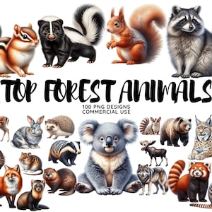 Animaux des bois, aquarelle animaux de la forêt PNG, bébés animaux de la forêt, clipart de pépinière, bébés des bois, clipart forestier, cerf ours renard raton laveur