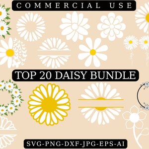 DAISY SVG, DAISY Flower Svg Bundle, Spring Svg, Daisy Silhouette, Daisy, Daisy clipart, Daisy cut file, Daisies, Flowers Svg, Daisy, Svg,Png