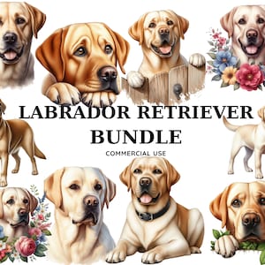Labrador Retriever Dog Puppy Clipart Bundle sublimazione di file PNG di alta qualità, pianificatore digitale, diario spazzatura, download digitale, uso commerciale