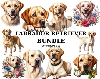 Watercolor Labrador Retriever Clipart Bundle: PNG, SVG, JPG (Digital Download)