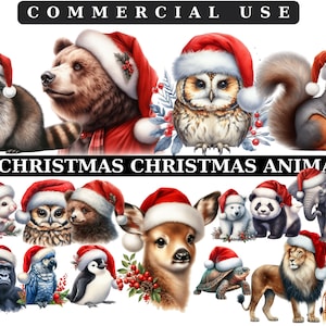 Winter Tiere Weihnachten Clipart: Aquarell PNG Bündel (Kommerzielle Nutzung)