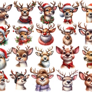 Reindeer clipart set Cute reindeers Christmas themed illustrated clipart PNG Commercial use Christmas card elements Instant Download