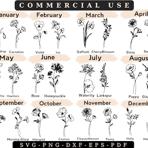 Birth Month Flower Zodiac Svg Bundle, Astrology Svg,birth Flower Svg ...