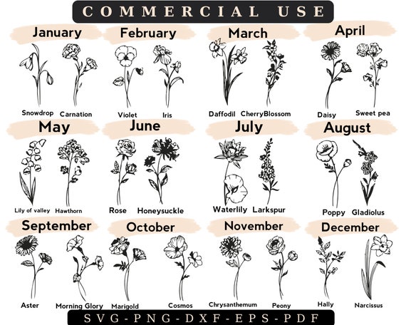 Birth Month Flower Zodiac Svg Bundle Astrology Svg Birth - Etsy