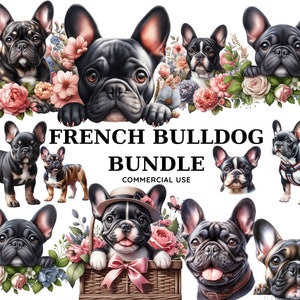 Pacchetto Clipart Bulldog francese Sublimazione di file PNG di alta qualità, Pianificatore digitale, Diario spazzatura, Regalo Png Download digitale Uso commerciale