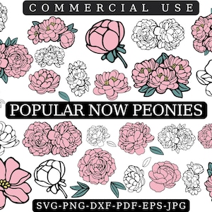 PEONIES SVG BUNDLE, Peony Svg, Black and white Peony Peonies clipart, Cut Files For Cricut, Includes dxf & png, Pink Flower Svg File, Vector