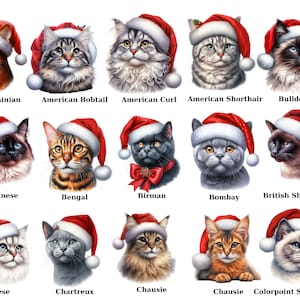 Aquarelle Christmas Cat Clipart Bundle, Cat Races PNG Images avec chapeau du Père Noël, Conceptions de sublimation de chat pour l’impression à la demande, Animaux de Noël