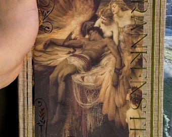 Frankenstein by Mary Shelley Rebind