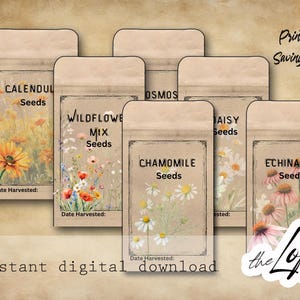 May include: A set of printable seed saving envelopes with botanical illustrations. Each envelope is labelled with a different seed type, such as Calendula, Wildflower Mix, Chamomile, Daisy, and Echinacea. The design includes the text "Printable Seed Saving Envelopes" and "instant digital download".