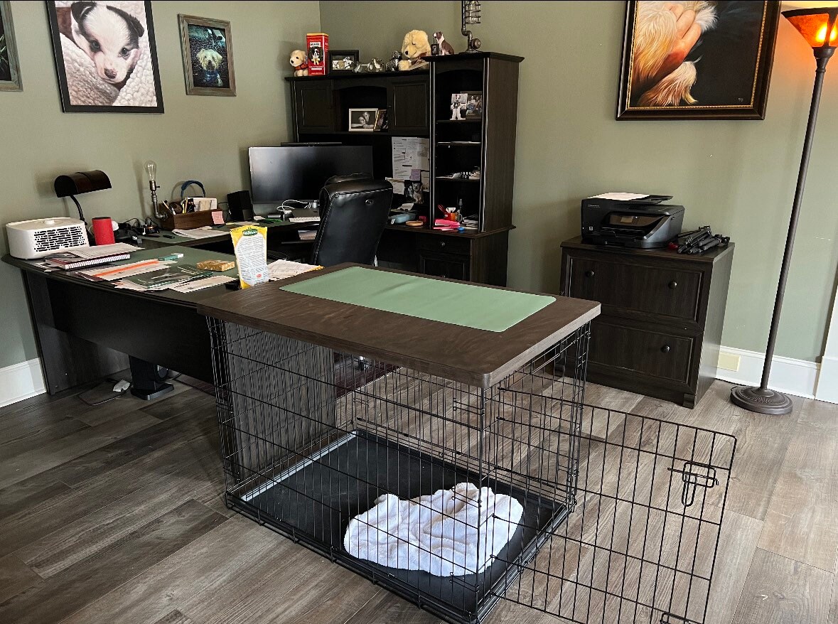 Dog cage desk outlet