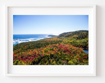 Print: Foliage in Acadia National Park