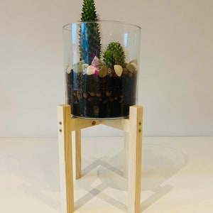 May include: A clear glass cylinder vase with a wooden stand. The vase contains a small cactus plant and decorative stones.