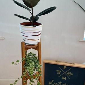 May include: A wooden plant stand with two tiers, featuring a potted rubber plant with large green leaves on the top tier and a trailing plant with green and white leaves on the lower tier. The stand is in front of a sign that reads "plant maniac".
