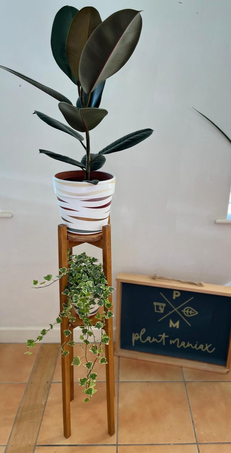 May include: A wooden plant stand with two tiers, featuring a potted rubber plant with large green leaves on the top tier and a trailing plant with green and white leaves on the lower tier. The stand is in front of a sign that reads "plant maniac".