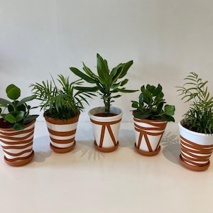 Plant Pot Hand painted terracotta&white color in different patterns to choose