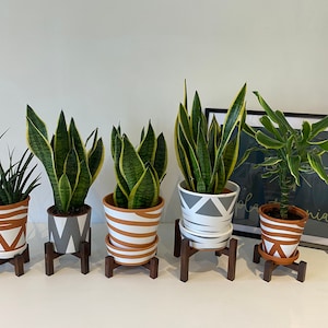 May include: Five potted plants with different patterned pots on wooden stands. The plants are a variety of green and yellow, and the pots are white, grey, and brown with geometric patterns.