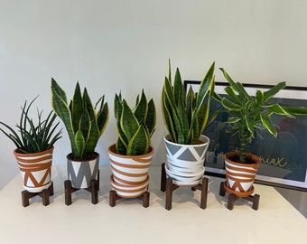 Handgemaakte grenen plantenpot, verschillende maten en kleuren