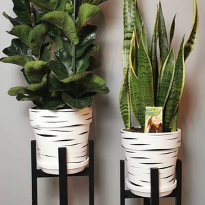 Plant Pots planter in Tiger Design in White and Black color hand painted handmade to perfection plant holder plant display  gift