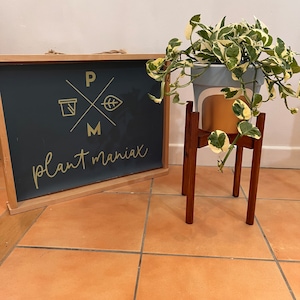 Könnte beinhalten: Ein Pflanzenständer aus Holz mit einem hellblauen Topf und einer panaschierten Pflanze mit grünen und weißen Blättern. Der Ständer steht vor einem schwarzen Schild mit dem Text "P x M plant maniac".
