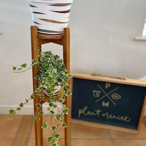 May include: A wooden plant stand with two shelves, holding a potted plant with variegated leaves and a white pot with brown and gold stripes. The stand is in front of a sign that says "Plant Maniac" with a potted plant and leaf design.