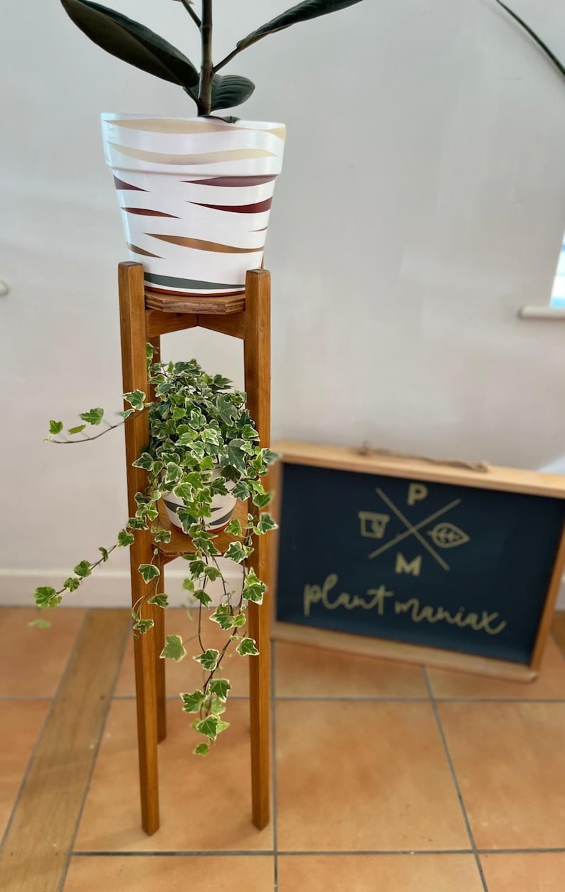 May include: A wooden plant stand with two shelves, holding a potted plant with variegated leaves and a white pot with brown and gold stripes. The stand is in front of a sign that says "Plant Maniac" with a potted plant and leaf design.