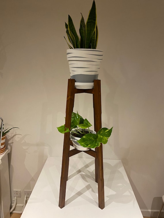great white shark plant success Great White Mycorrhizae - Plant Success