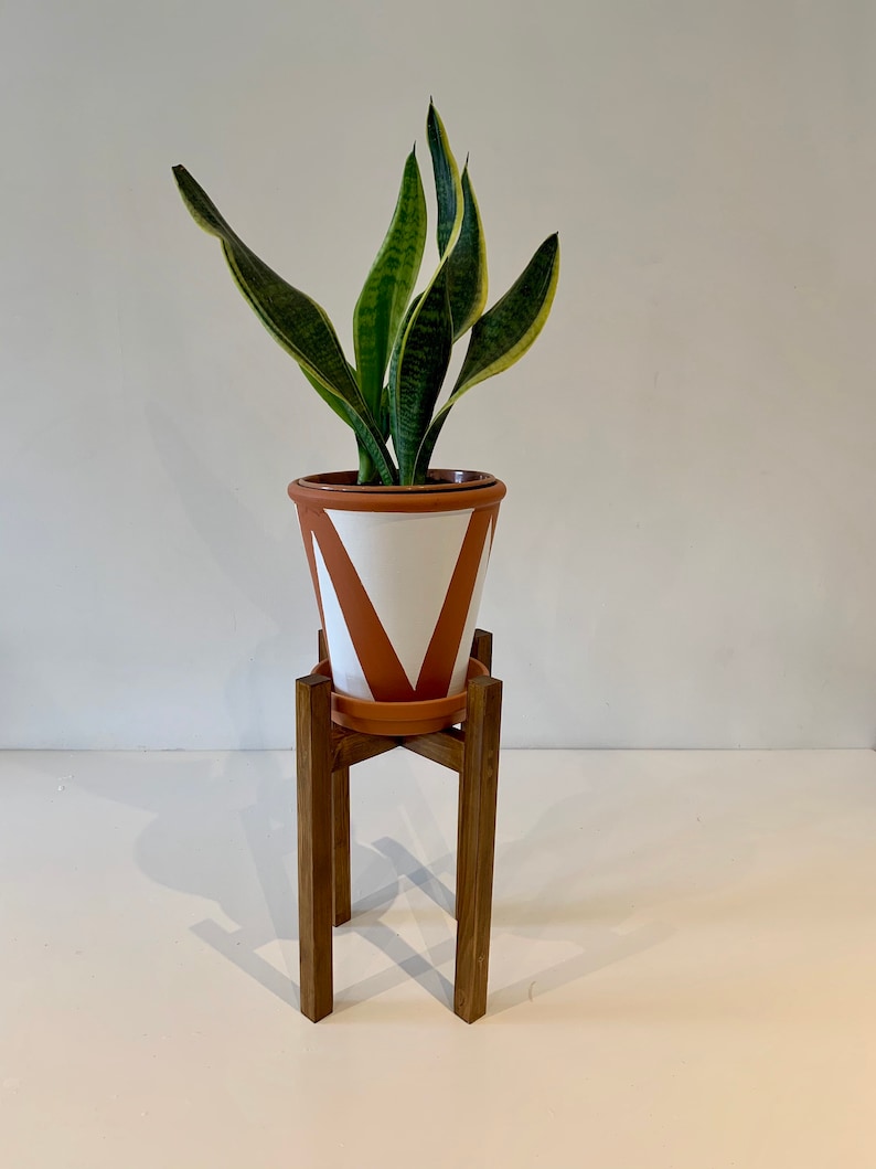 May include: A potted snake plant with variegated leaves sits on a wooden plant stand. The pot is terracotta with white geometric designs.