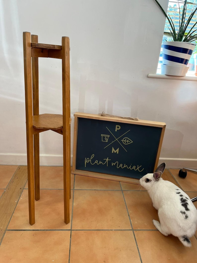 May include: A wooden plant stand with two shelves. The stand is made of light brown wood and has a simple design. The stand is in front of a black sign with the text "plant maniacs" in gold lettering.