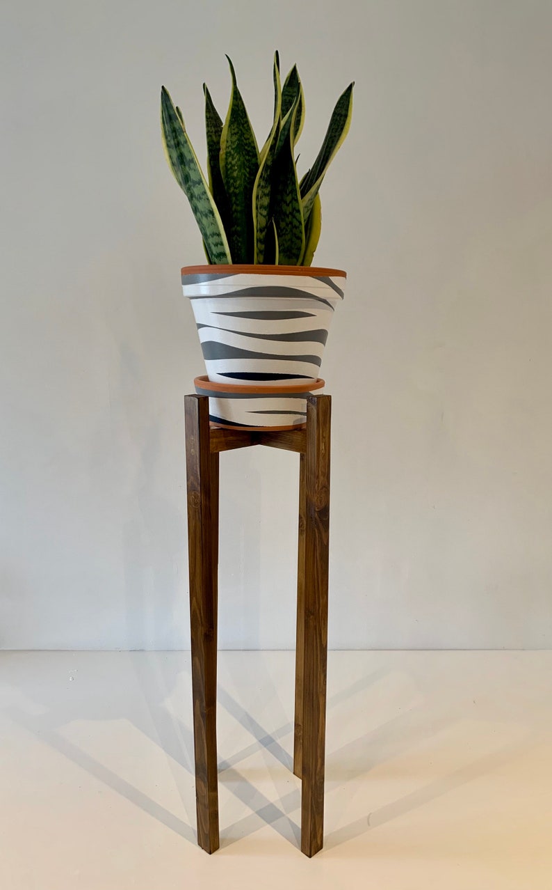 May include: A potted snake plant with green and yellow leaves sits on a wooden plant stand. The pot is white with black stripes.