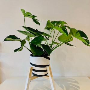 Plant Pot Stand /40 cm high Diagonal Shape stand / Hand made / Natural Wood colour and your choice of width and colour