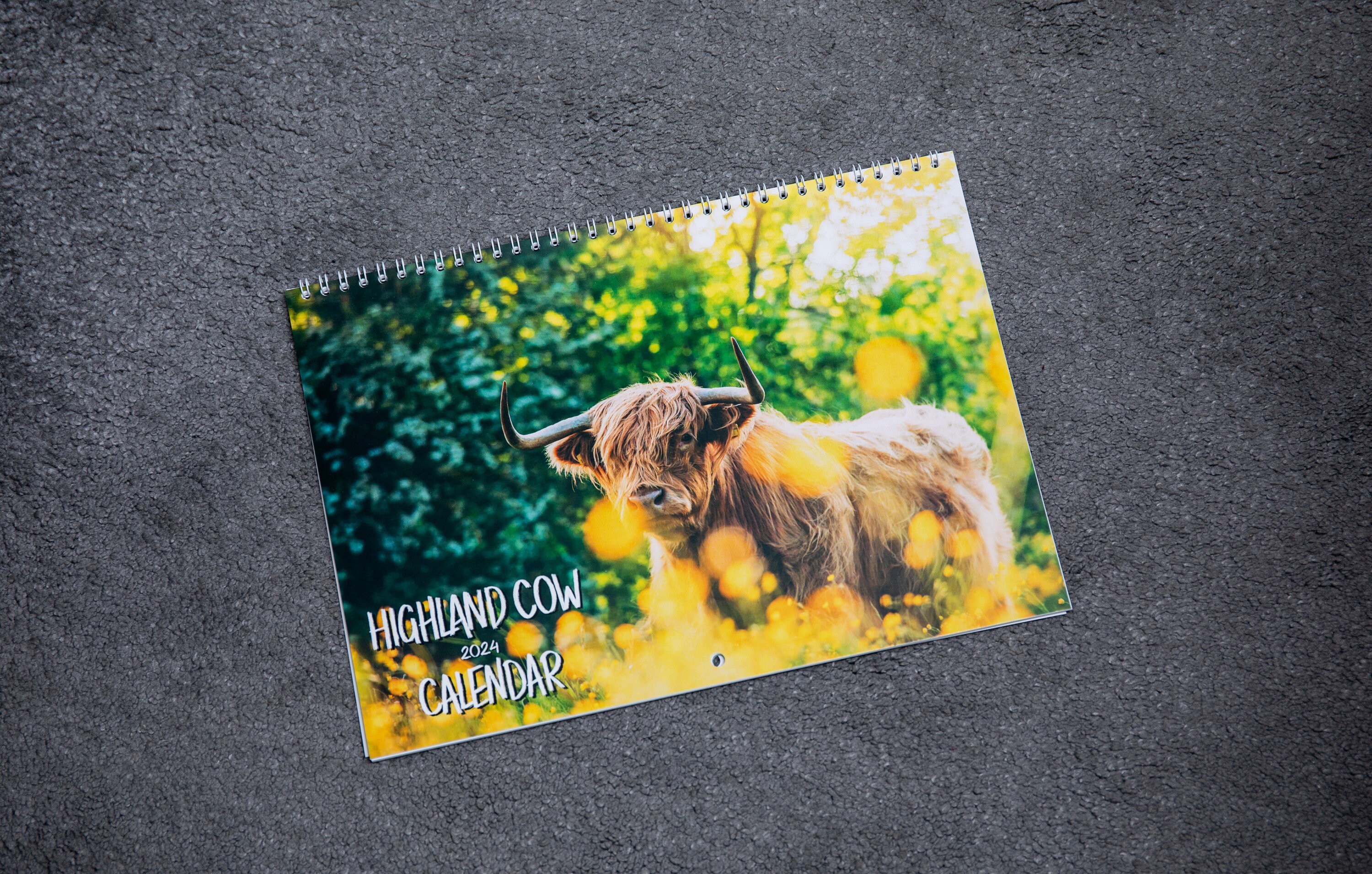 2024-highland-cow-calendar-etsy