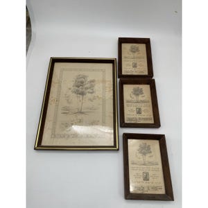 Pode incluir: Uma coleção de obras de arte emolduradas com ilustrações de árvores. A moldura maior tem uma borda dourada, enquanto as molduras menores têm bordas marrons escuras. A obra de arte parece ser vintage, com texto em língua estrangeira.