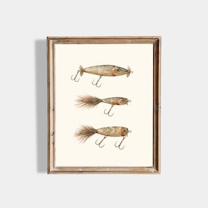 amazon ugly stik rods Ugly Stik Catfish Spinning Rod
