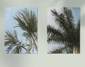 Palm Tree Art | Printable Palm Tree Wall Art | Palm Tree Poster Set of 2 | Instant Download Wall Art