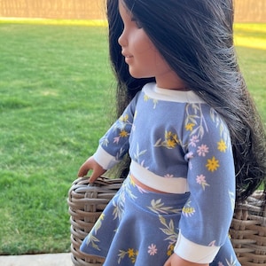 Cute outfit  -18 inch doll clothes- top and skirt