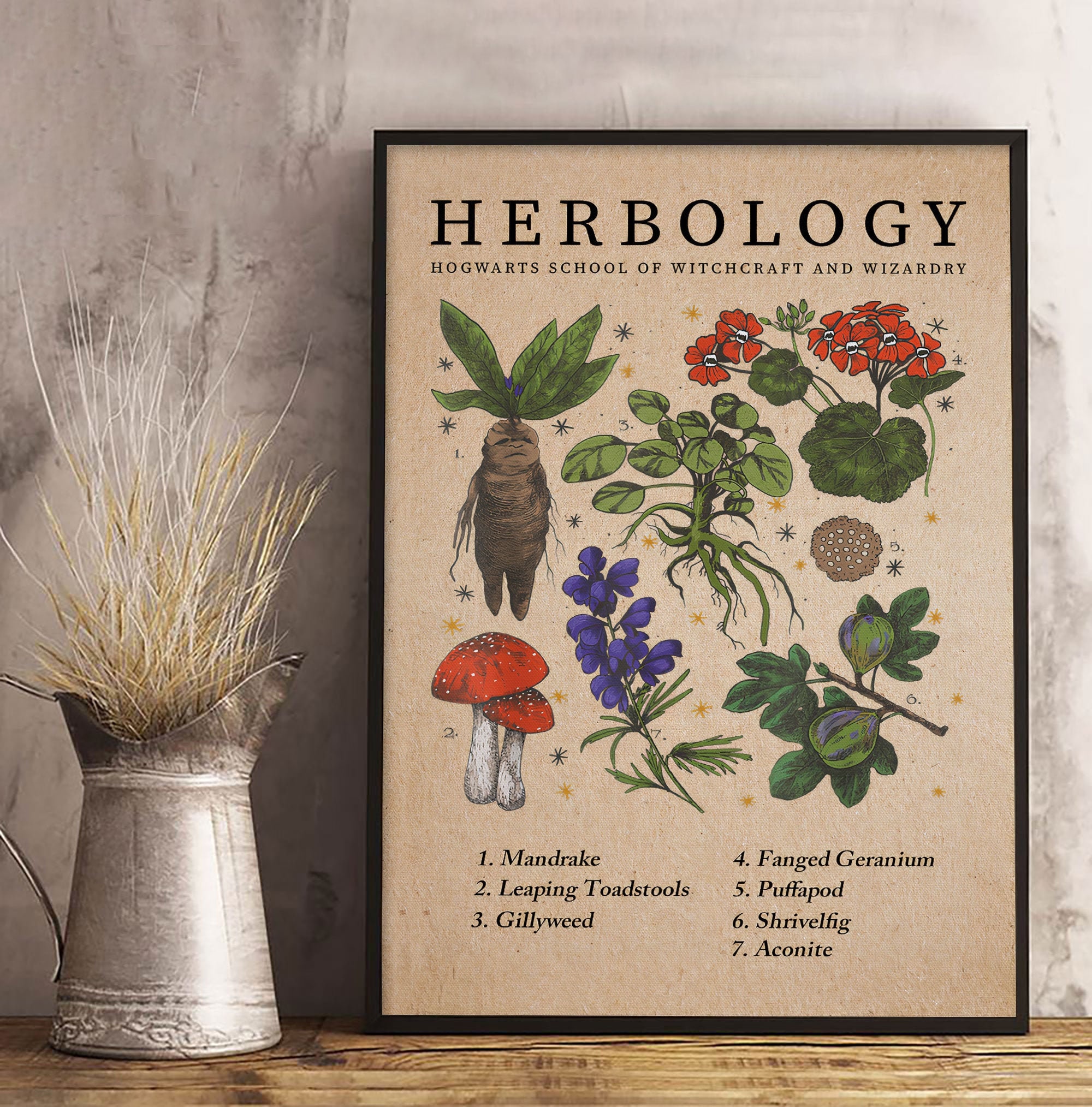 Harry Potter Herbology Plants Poster Herbology Poster Plants Etsy