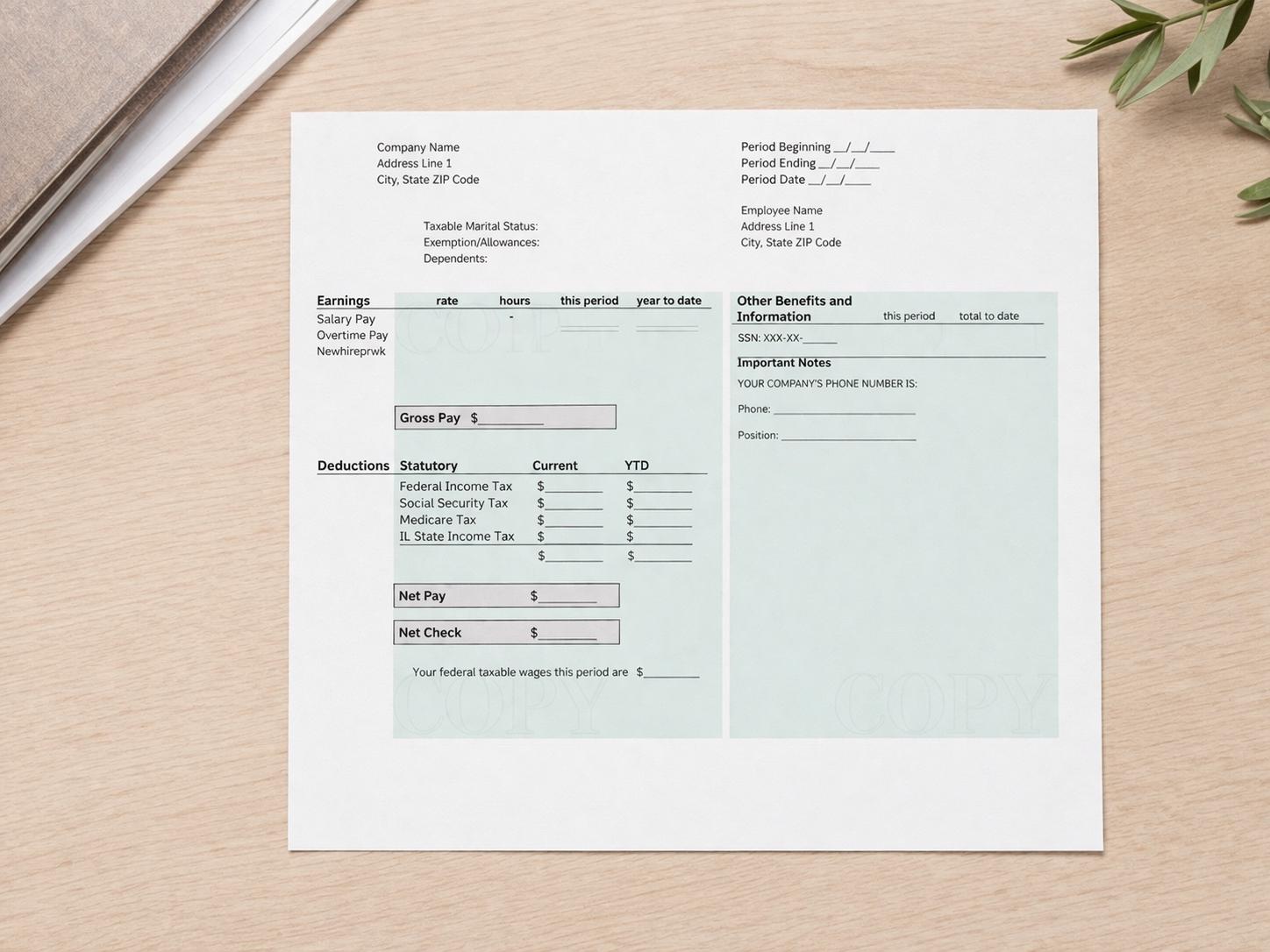 Editable Paystub Template for Small Business, Freelancer Earnings
