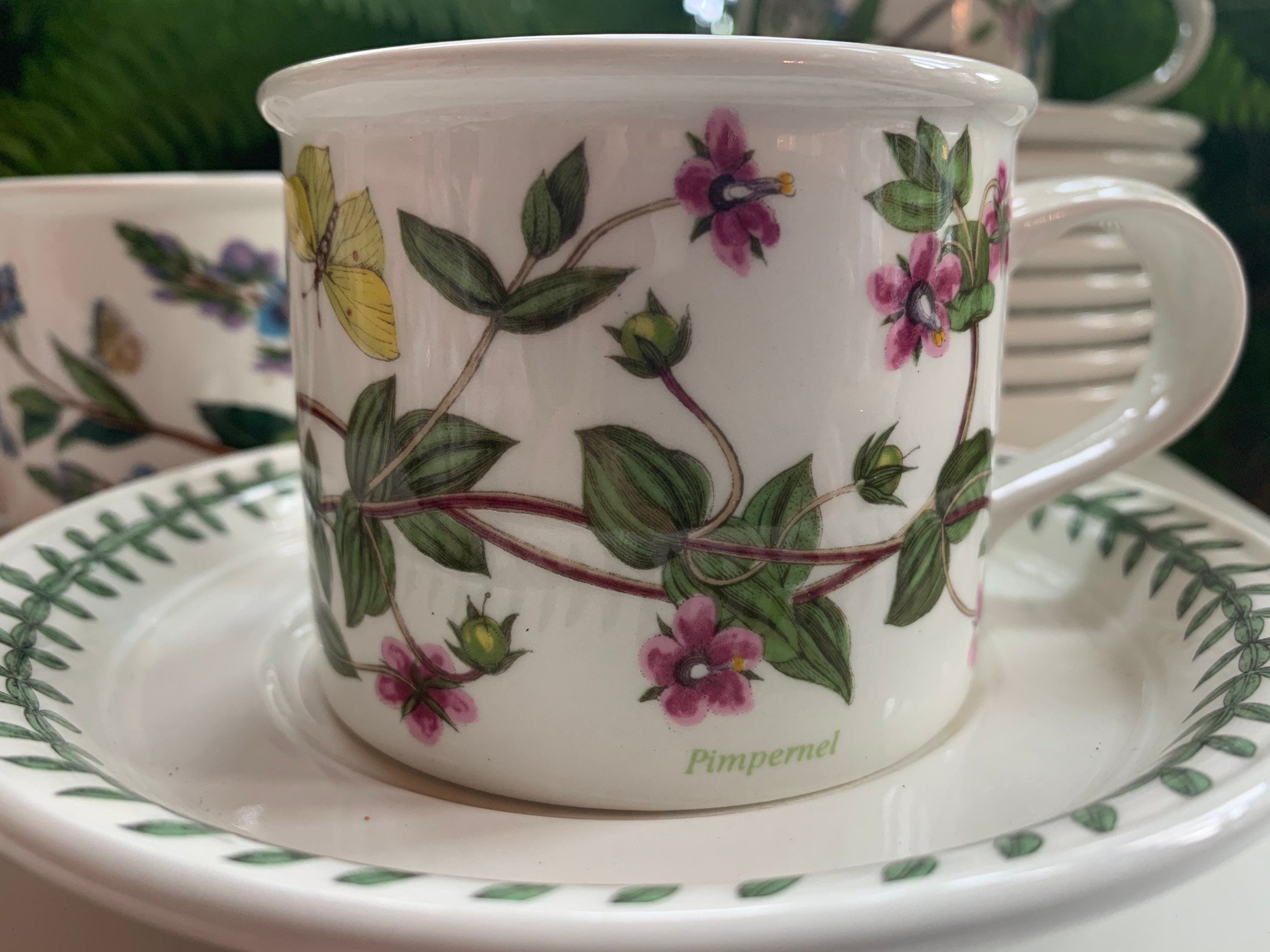 ヴィンテージ ポートメイリオン ボタニック ガーデン ティーカップと  