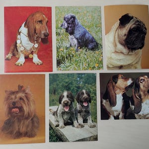 Hunde Postkarten, 6er Set vintage Postkarten von 1987, Unbenutzte Mops Postkarte, Yorkshire Terrier Postkarte 80er Jahre, Basset Hound, Cocker Spaniel