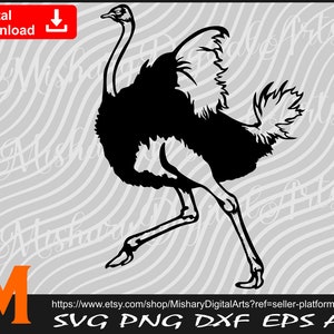 Running Ostrich svg, Ostrich Clipart, Ostrich  svg, Ostrich Silhouette - Cut and Printable Files Digital Download