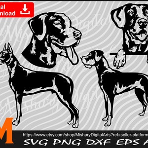 Bundle Dog svg, Standing Great Dane, Peeking Great Dane svg, Great Dane svg, Dog svg - Cut and Printable Files Digital Download