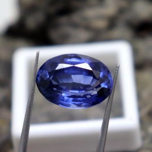 May include: A deep blue oval-shaped gemstone held by tweezers. The gemstone is faceted and has a high polish.