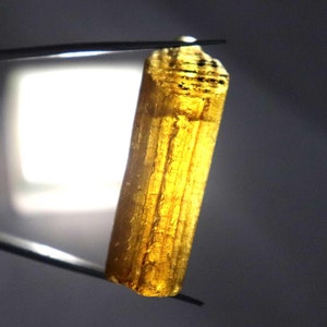 May include: A long, thin, translucent, golden-brown crystal with striations. The crystal is held by tweezers against a gray background.