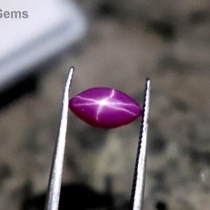 May include: A vibrant, oval-shaped, star ruby gemstone held by tweezers. The gemstone is a deep magenta color with a six-rayed star pattern. The background is a blurred, textured surface. The text "SepalGems" is visible in the background.