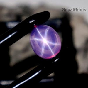 Op de afbeelding: Een paarse, ovale edelsteen, vastgehouden door een zwarte pincet. De edelsteen heeft een zesstralig sterpatroon. De achtergrond is wazig, met de tekst "SepalGems" zichtbaar. Waarschijnlijk een ster saffier.
