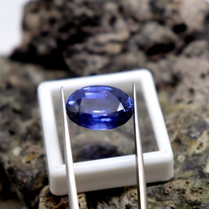 May include: A deep blue oval sapphire gemstone held by tweezers over a white box. The gemstone is a vibrant blue color and has a smooth, polished surface.