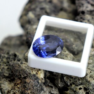 May include: A deep blue oval-shaped gemstone in a white display box. The gemstone is on a rough, dark gray rock surface.